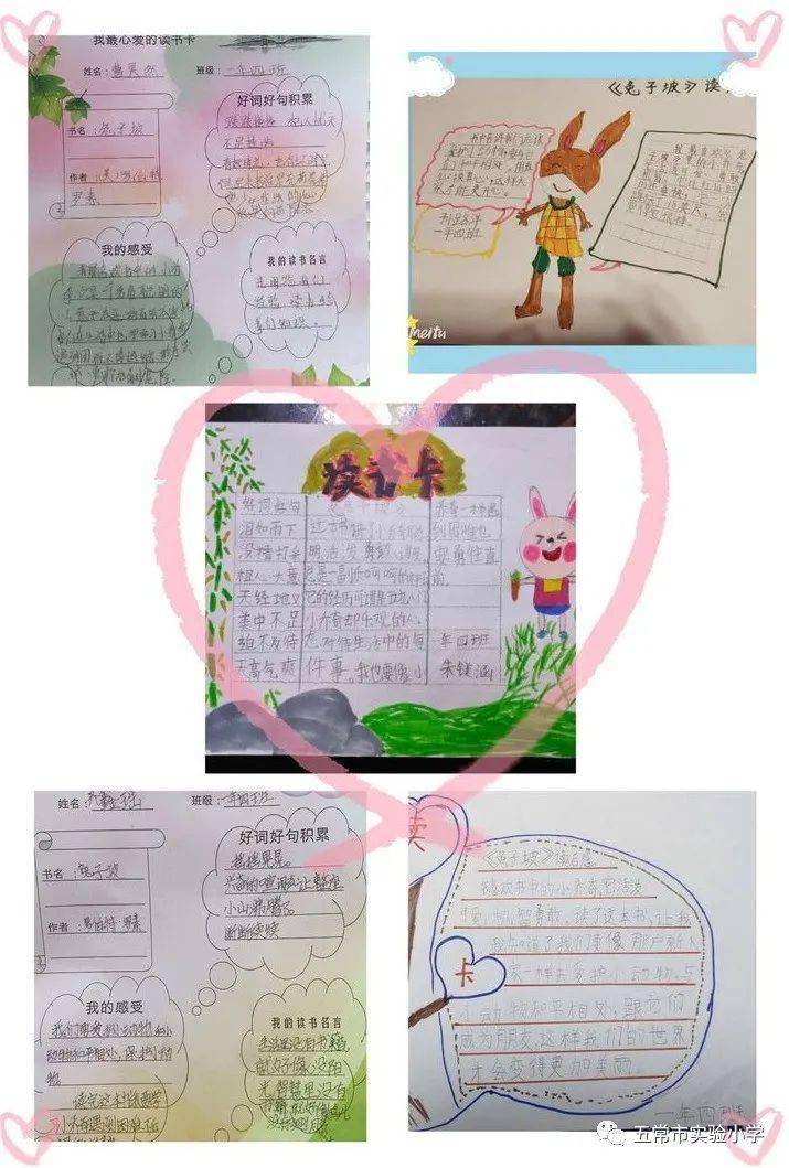 阳光悦读一年四班浸润书香畅游书海兔子坡读书交流会