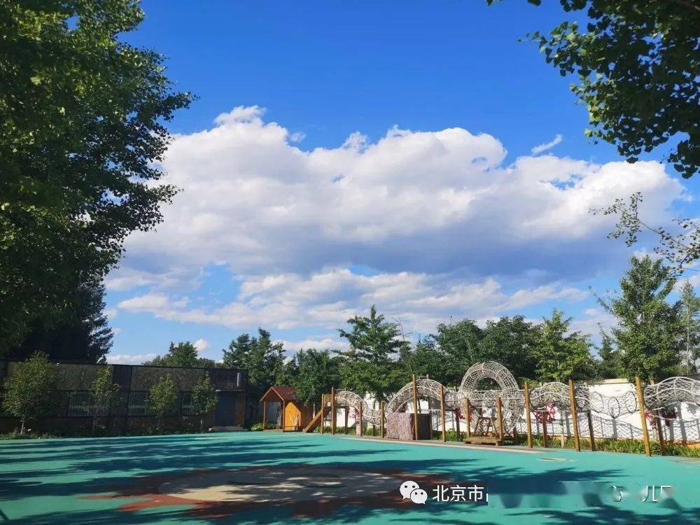 阳坊镇中心幼儿园招生啦