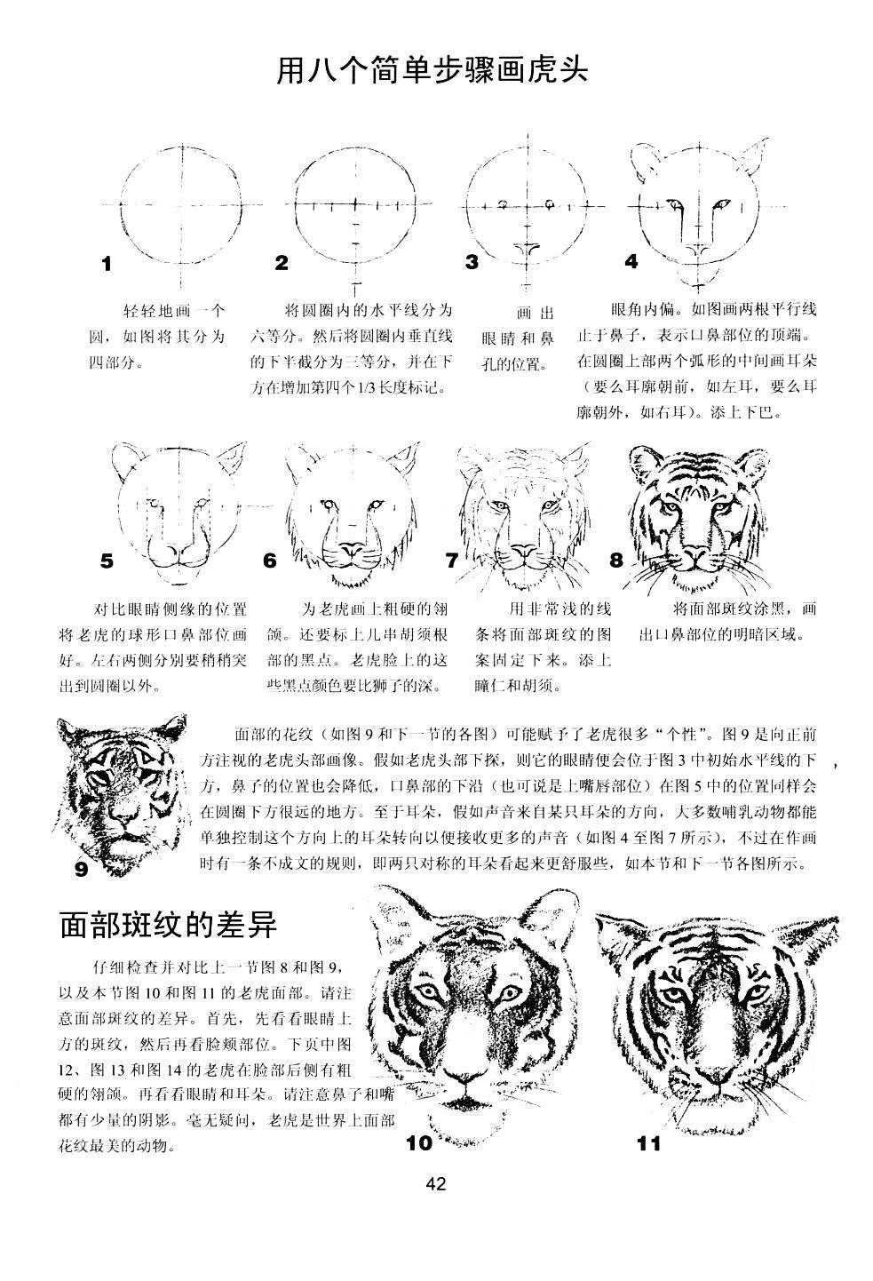 世界绘画经典教程：动物素描-搜狐大视野-搜狐新闻