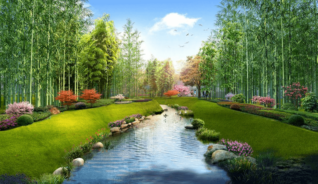 新建生态护岸效果图