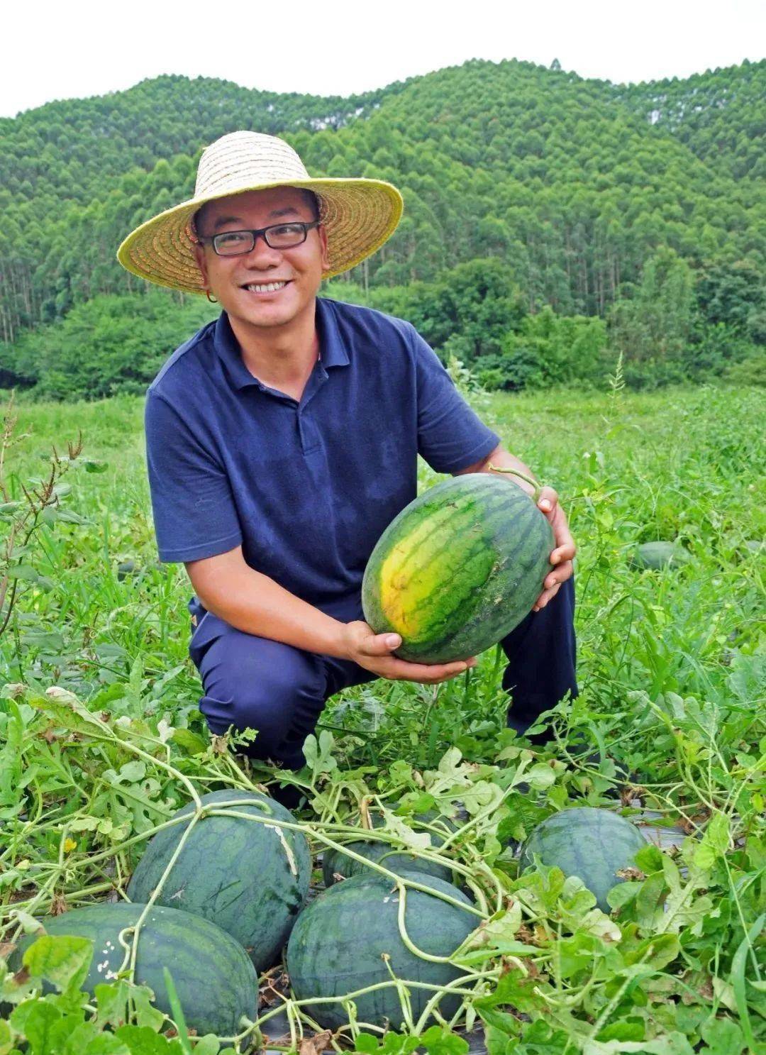 摘果节开幕,免费入园尝瓜果!还送西瓜!