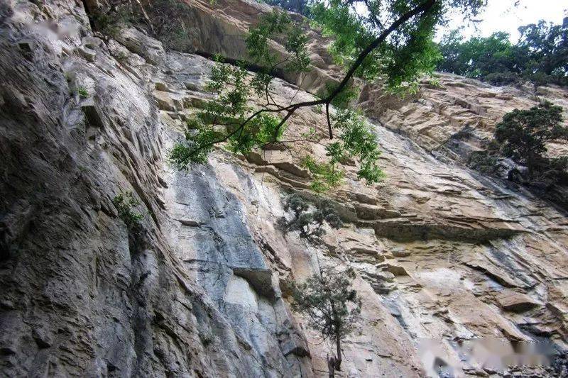 這樣的仰天山,端午節約吧~_溶洞