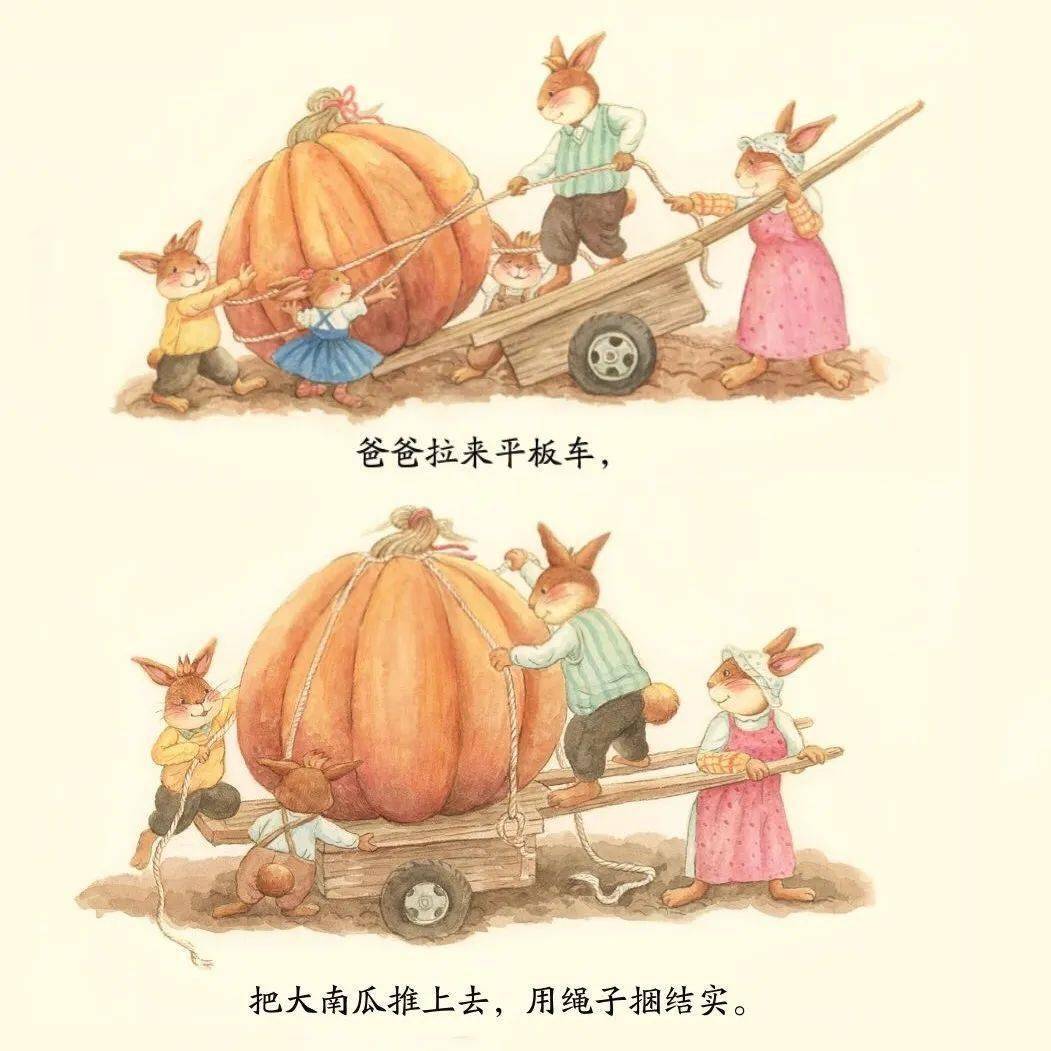 九儿:2012年底我出版了第一本图画书《妹妹的大南瓜》.