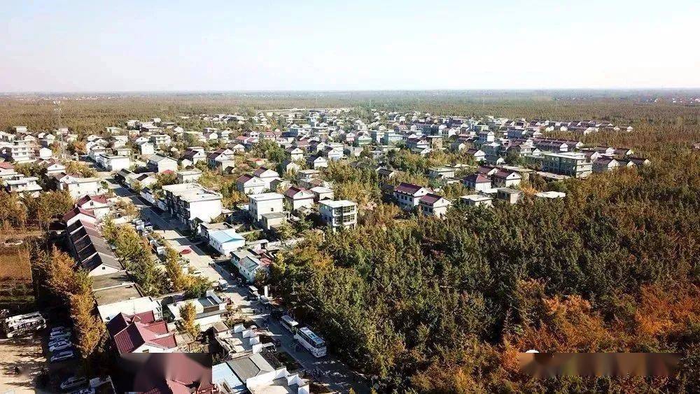 姚庄村被正式命名为"美丽家园"省级示范点!