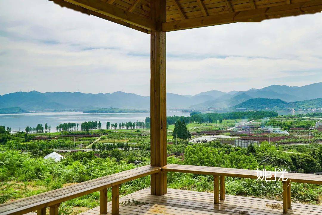 杨梅基地里的亭子可以用来小憩,陈友良将它取名为"凤栖亭":"我们梁弄