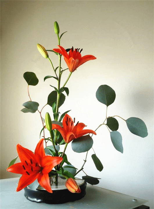 如兰分享插花欣赏百合