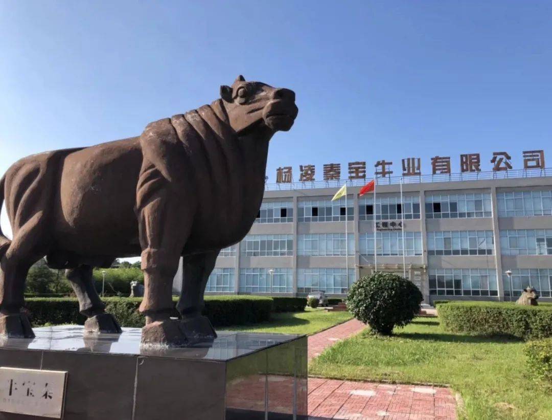 秦宝牛肉店中店开业啦