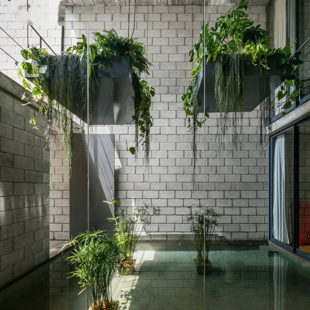 当室内遇上景观:宅家也能拥抱大自然