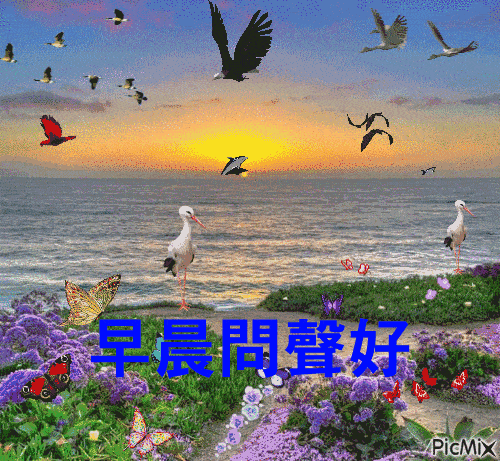 爱不是一句承诺,而是一生行动;情不是嘴上说说,而是用心体现,早安