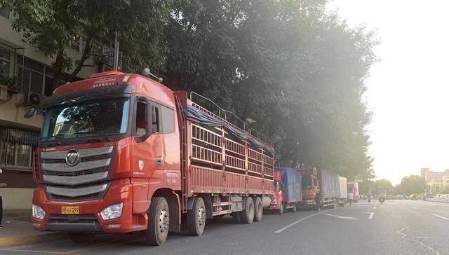 直击!海淀这个果蔬配送现场:产地直采,40辆加长货车排队卸货......_供