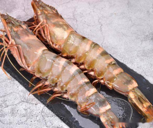 老渔民说出海鲜内幕海虾与养殖虾的最大区别原来如此