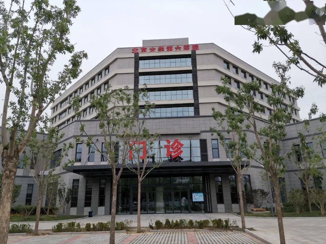 包含北京大学第六医院去北京看病指南必知的词条
