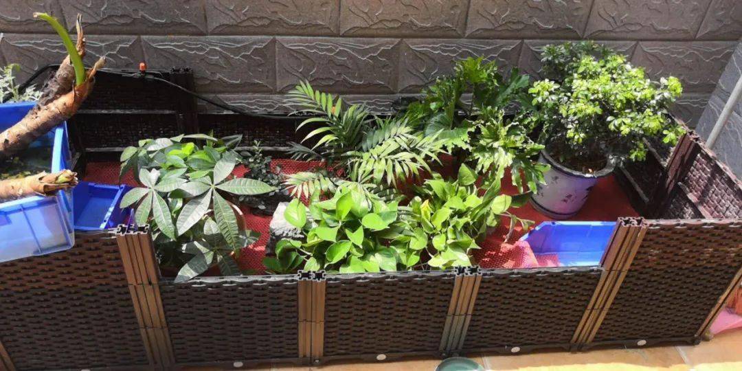 家庭一些养龟环境图的参考.