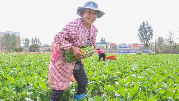 贵州阿姨到河南农村打工