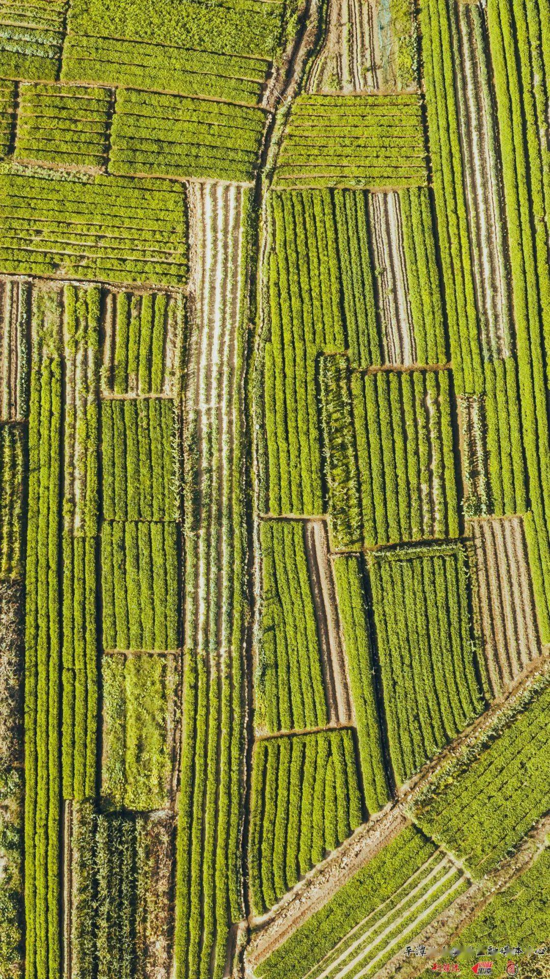 我们的村落|南盘村:隐于山海之间,美在石厝人家
