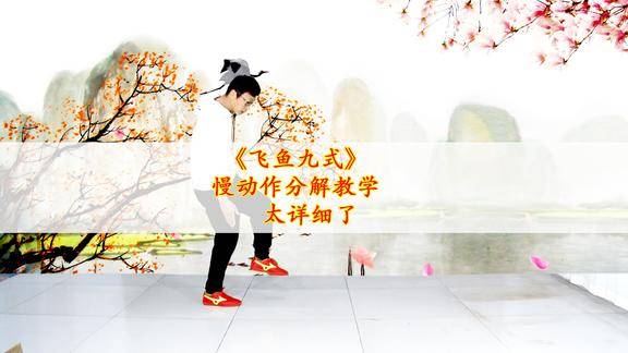 火遍全国的鬼步舞飞鱼九式慢动作分解背面一步步教太实用了