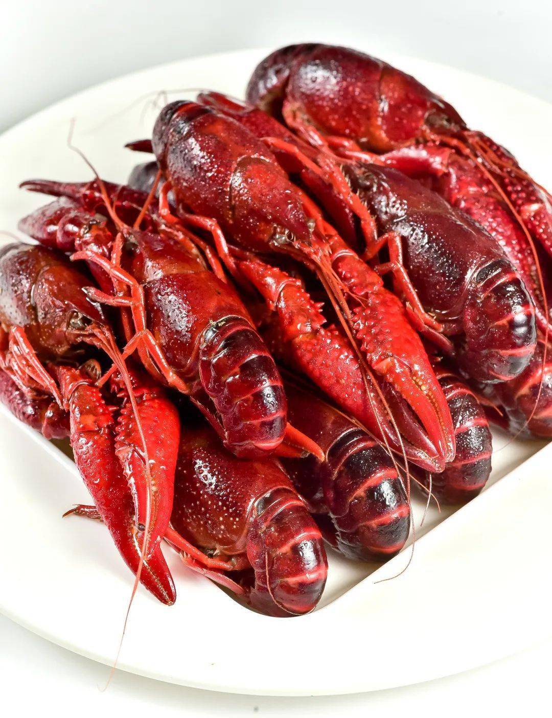 熟醉大龙虾
