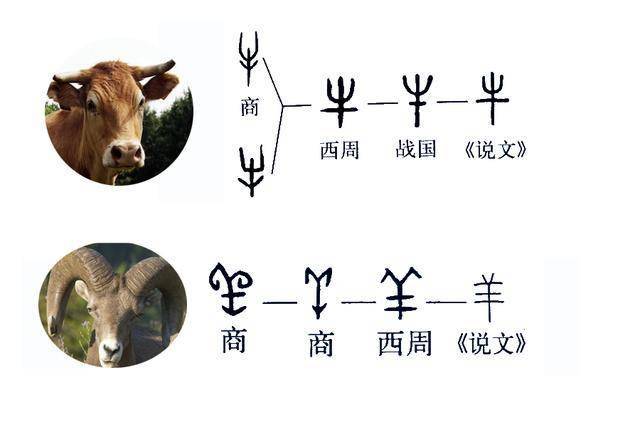 也就是说,象形字是根据人们对客观事物的观察,取其最突出的特征部分