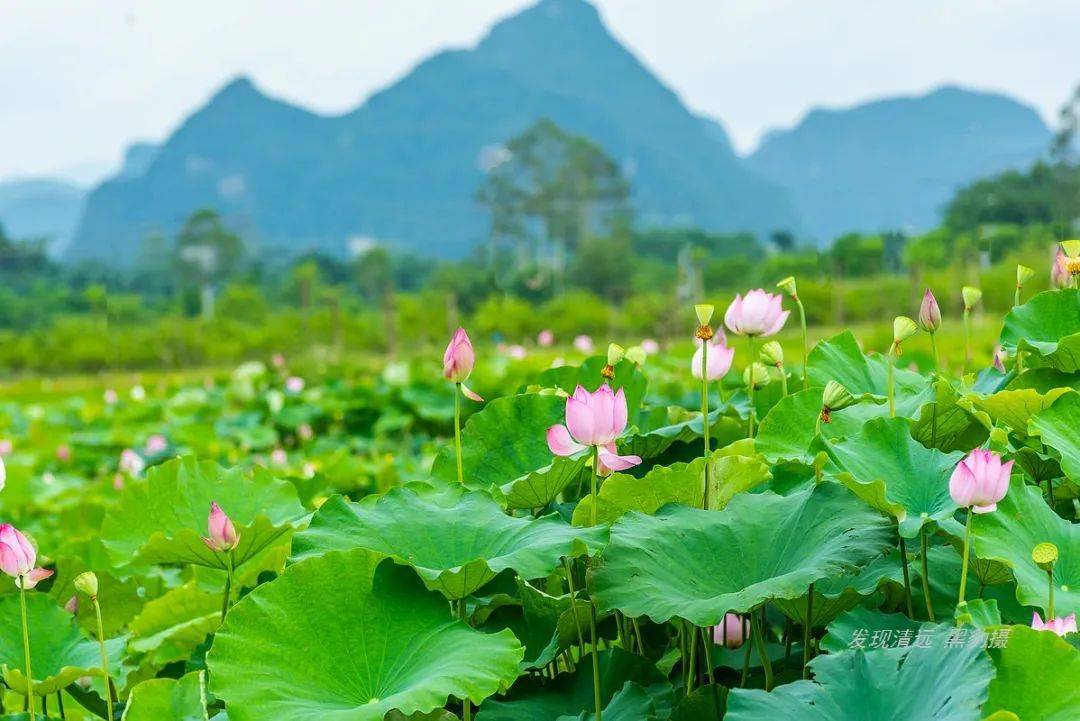 已成团【召集1天】6月26日 英德 世界洞漂之王考虎谷溶洞漂流 百亩