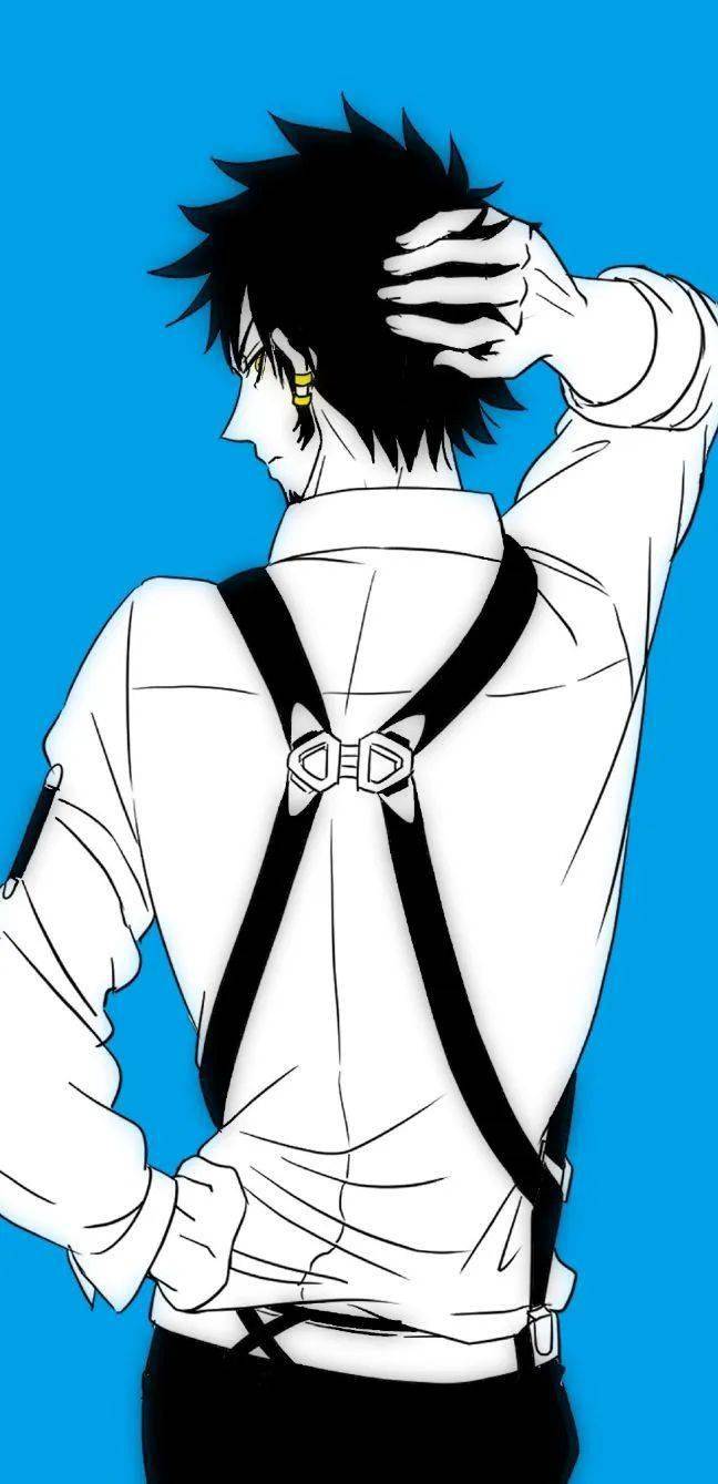 壁纸海贼王帅气的罗殿