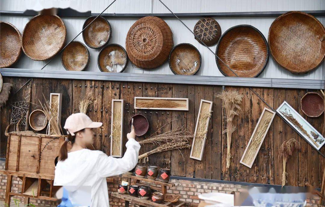 来洛阳种子博物馆,看1500年历史的镇馆之宝.