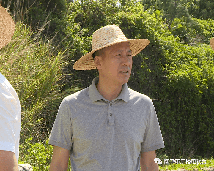 市领导欧阳柳,方炳烙,林学茂,郑伟锋参加调研