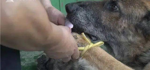 他说:"我从没后悔!