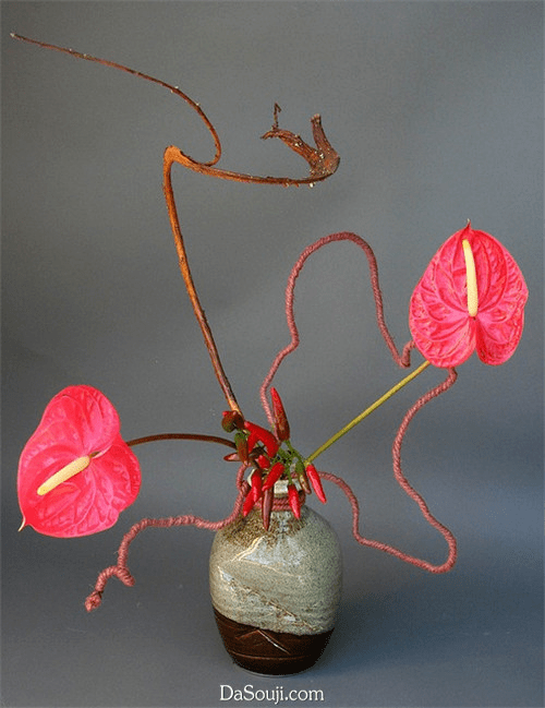 如兰分享插花欣赏火鹤红掌