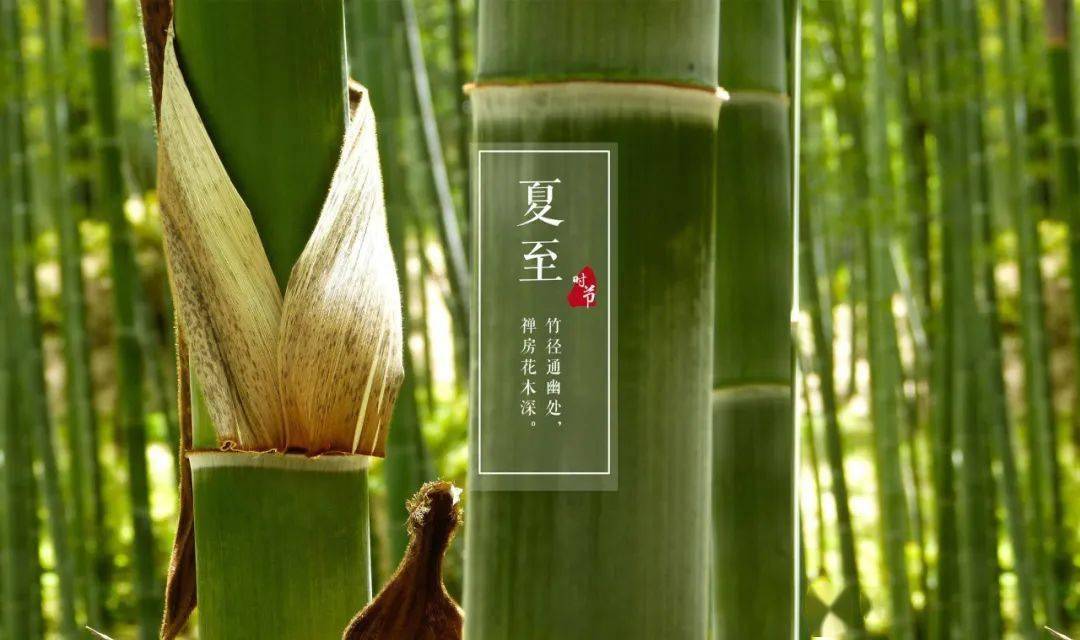 今日夏至┃带着夏花的芬芳与绚烂的时节不期而遇