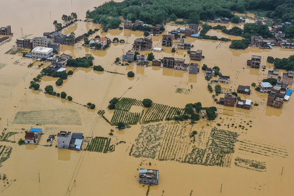 南方洪災告急,這些建築給我們帶來防災靈感_手機搜狐網