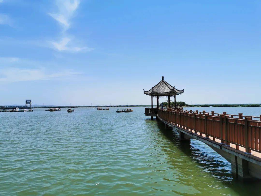 安徽焦岗湖风景区图片
