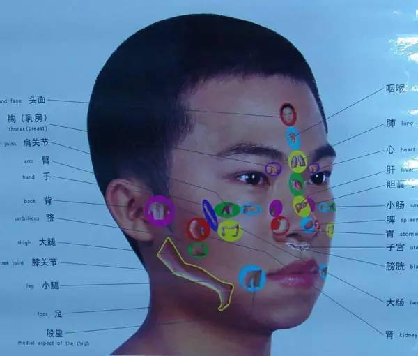 全身穴位治療口訣大全配圖精華版想學經絡穴位的必須收藏