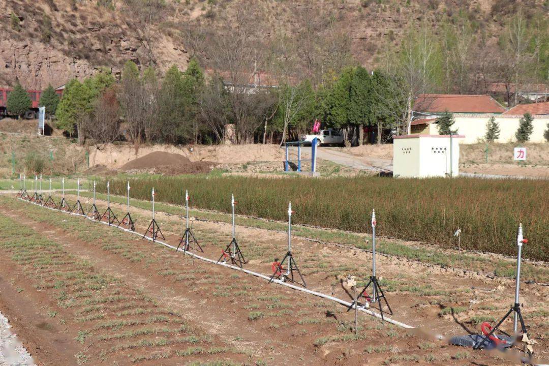 一是利用科技手段动态检测苗圃土壤水肥含量,精准实现自动喷灌和逊种