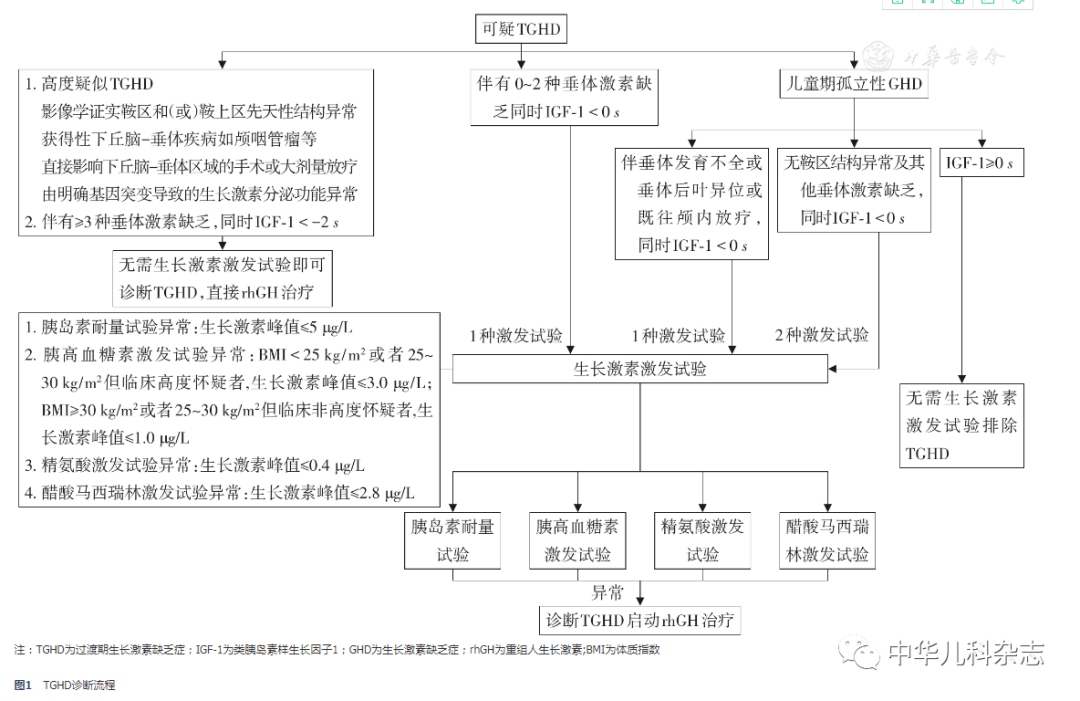 普遍认为tghd生长激素分泌状态评估首选胰岛素耐量试验(insulin