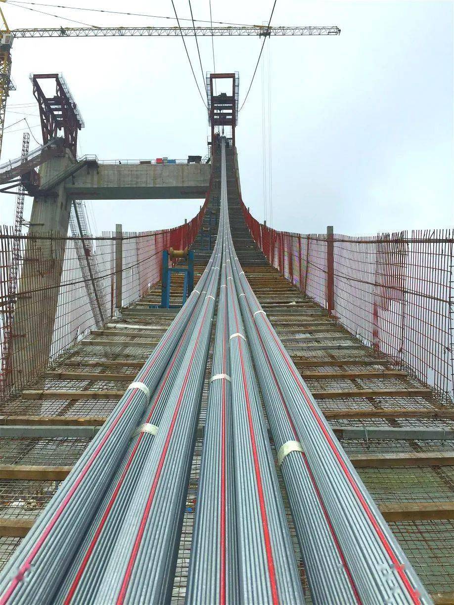 据大桥缆吊系统技术负责人曹钇介绍,大桥的主缆是自锚式悬索桥的重要