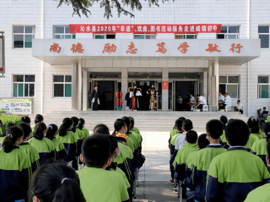 沁水中学校花图片