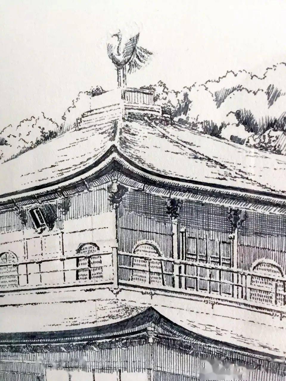 心中若有桃花源 何处不是水云间——三田钢笔画《金阁寺》