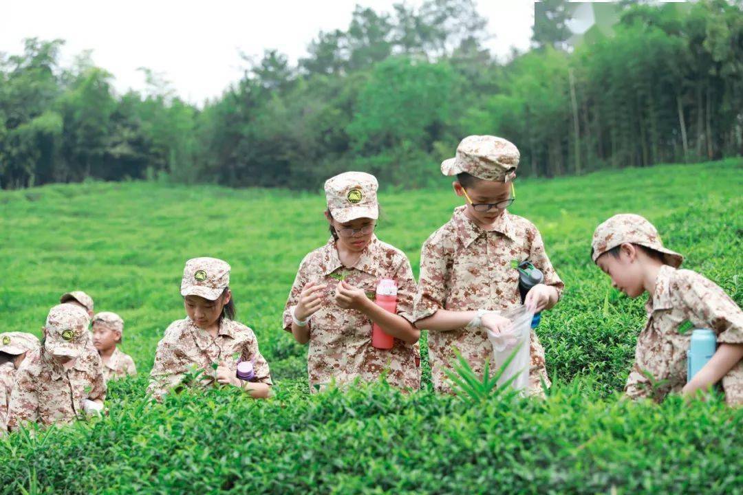 童子军特训7日圆梦1932莫干山童子军开始招生