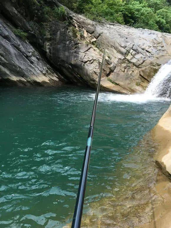 广元溪流里的极品鱼很多钓鱼人也不认识