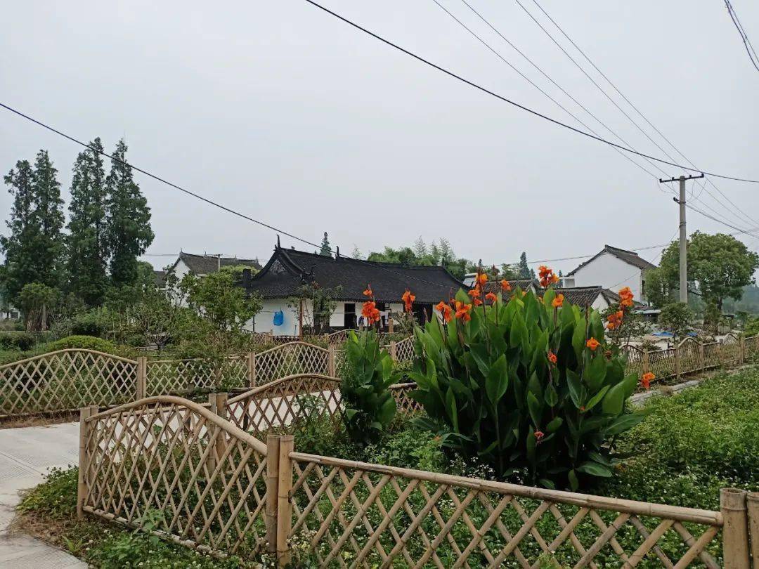 兴达村 / 李静雯 摄▲东石村 / 时俊和 摄▲叶榭塘 / 顾晓辉 摄栈一