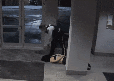 加拿大警察暴力执法画面曝光亚裔女生遭踩头杀