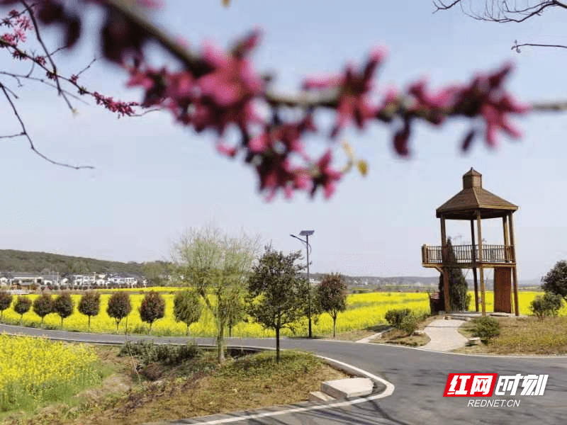 临澧县修梅镇创建特色小镇见闻