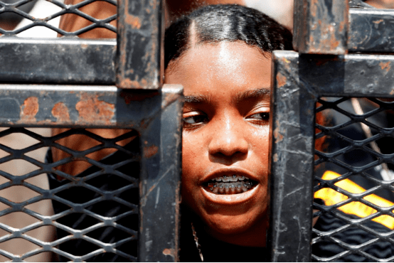 五颜六色灰雀自恋麝香豌豆花詹妮贝斯