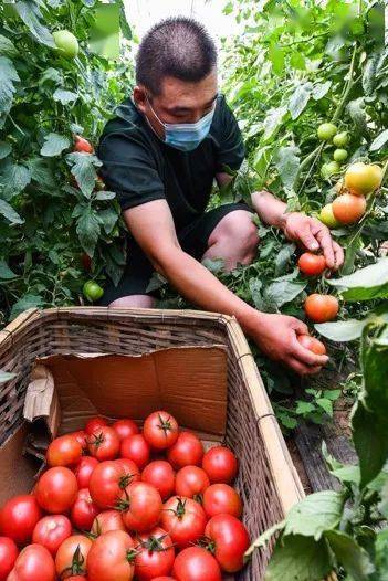 这个56人的退役军人保障队暖心