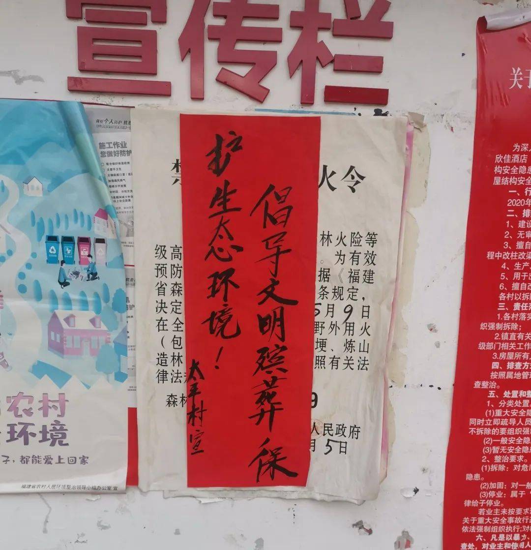 中山镇制止2起新建坟墓行为这通告告诉你哪些地方不能建