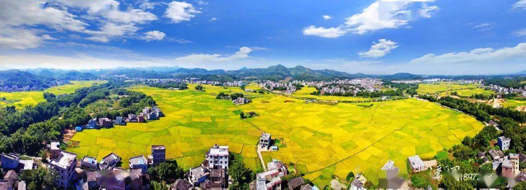 龙圩区力争上游三产融合谱新篇