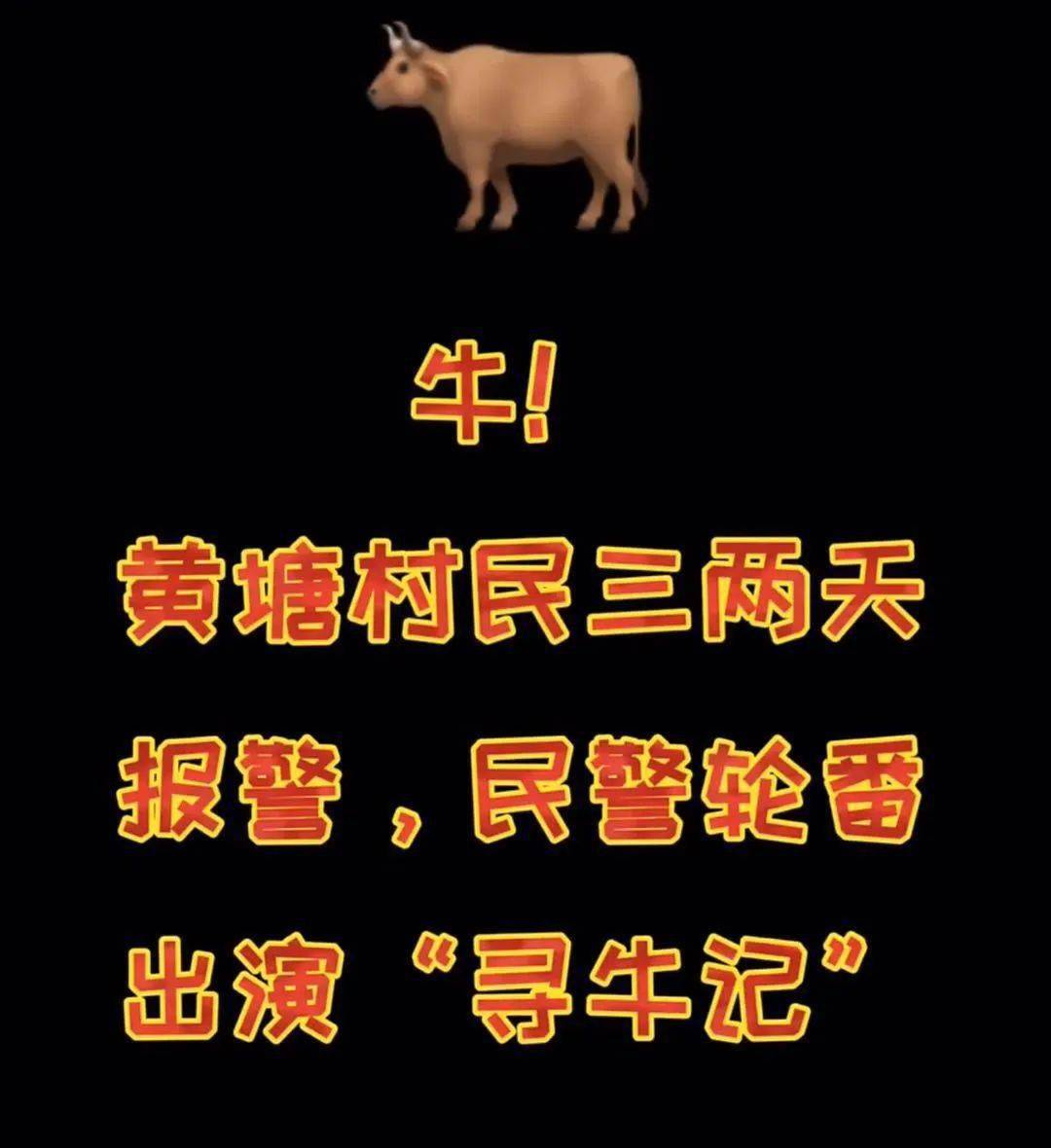 惠安点赞黄塘所民警轮番出演寻牛记