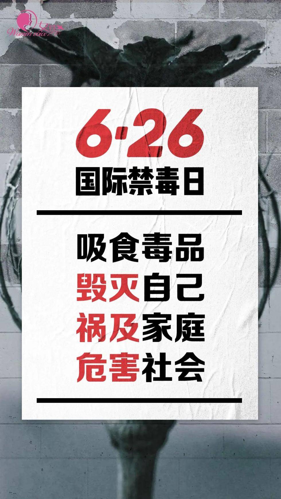 今天,让我们一起向毒品说不!