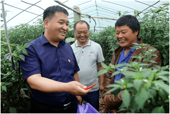 6月17日下午邢庄乡党委书记刘杰到屈楼村调研农村自建房情况.