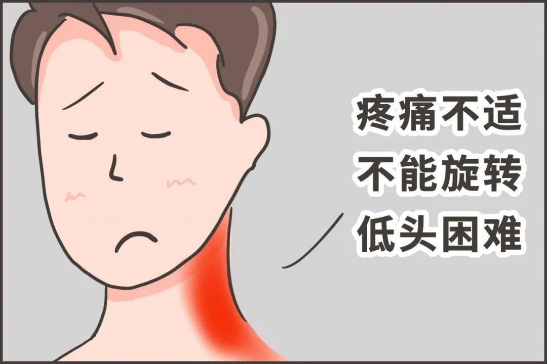 睡这种枕头更易落枕!5分钟教你挑选合适自己的枕头!_手机搜狐网